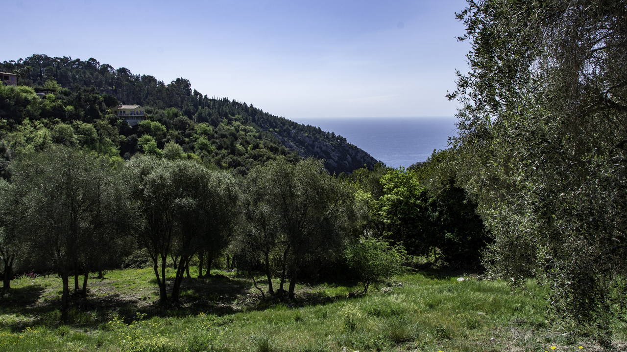 20220418 110151•Eze•Provence-Alpes-Cote d'Azur•France